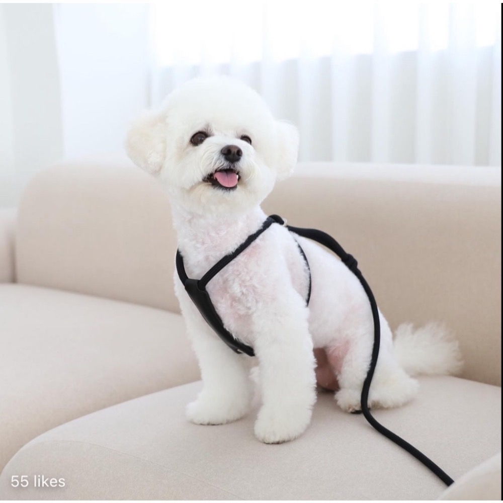 [HOZI] Hozi all-in-one harness 二合一胸背帶牽繩-細節圖3
