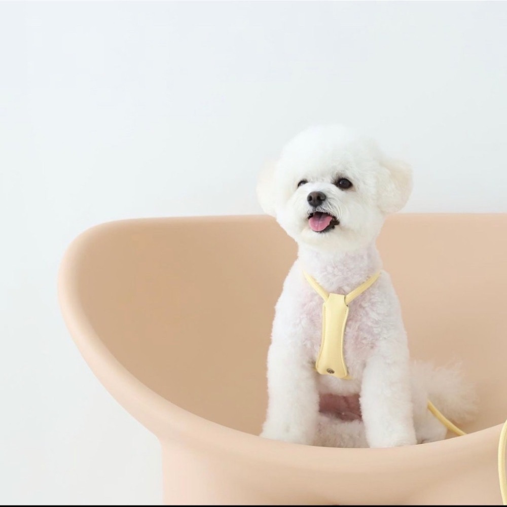 [HOZI] Hozi all-in-one harness 二合一胸背帶牽繩-細節圖5