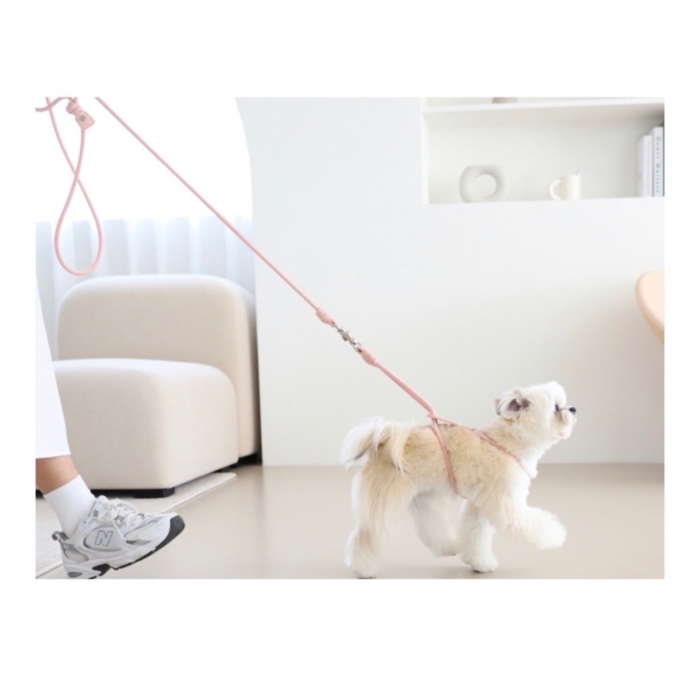 [HOZI] Hozi Essential leash 基本款寵物散步牽繩-細節圖3