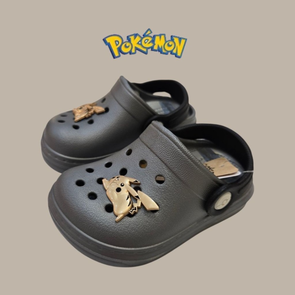 黑銀寶可夢P24759