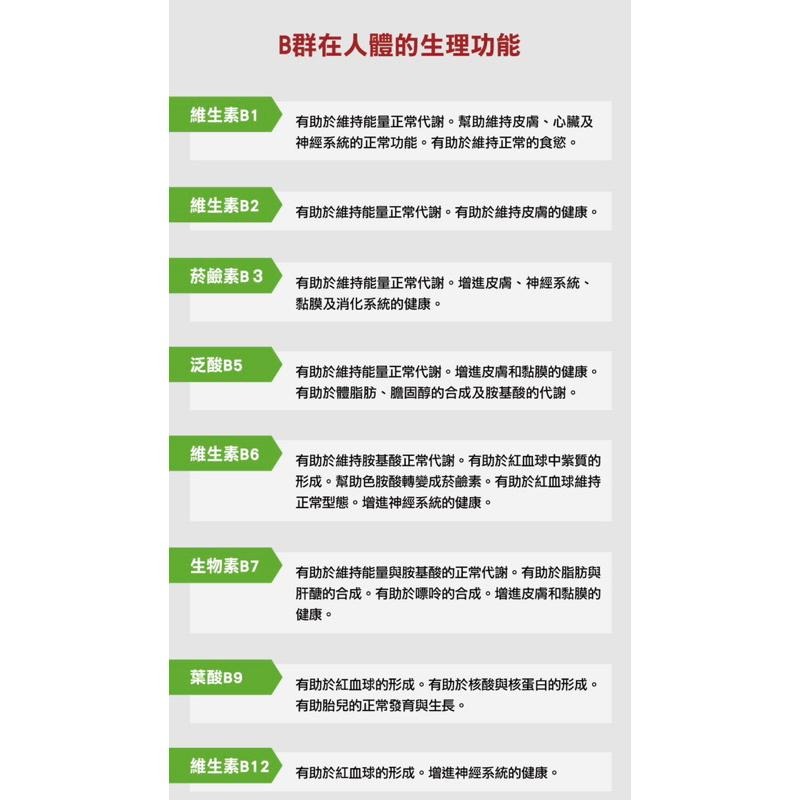 【成吉藥局】Doppelherz德之寶 官方授權藥局 全日B群EX緩釋錠 葉酸-細節圖3