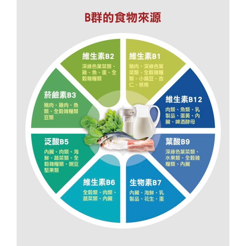 【成吉藥局】Doppelherz德之寶 官方授權藥局 全日B群EX緩釋錠 葉酸-細節圖4