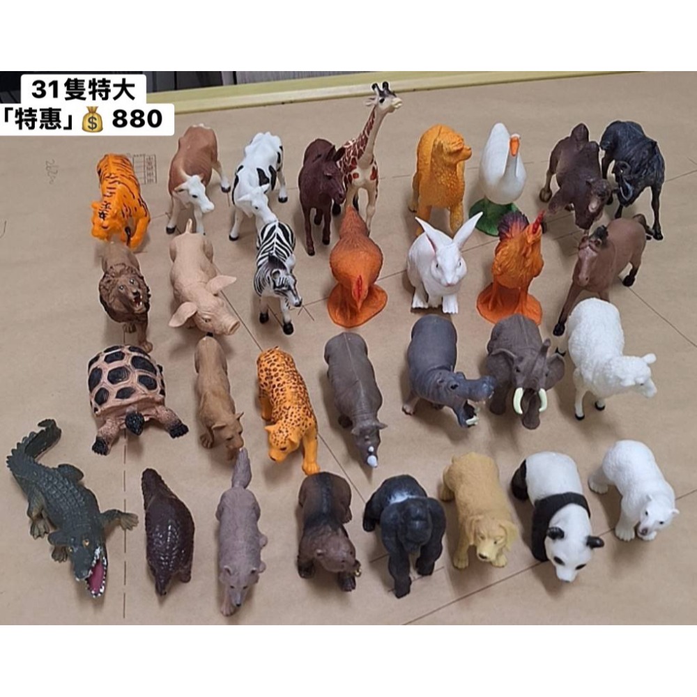 [INS小屋] ♡ 現貨 ♡ 出清區 ✪ 客訂 ✪-規格圖8