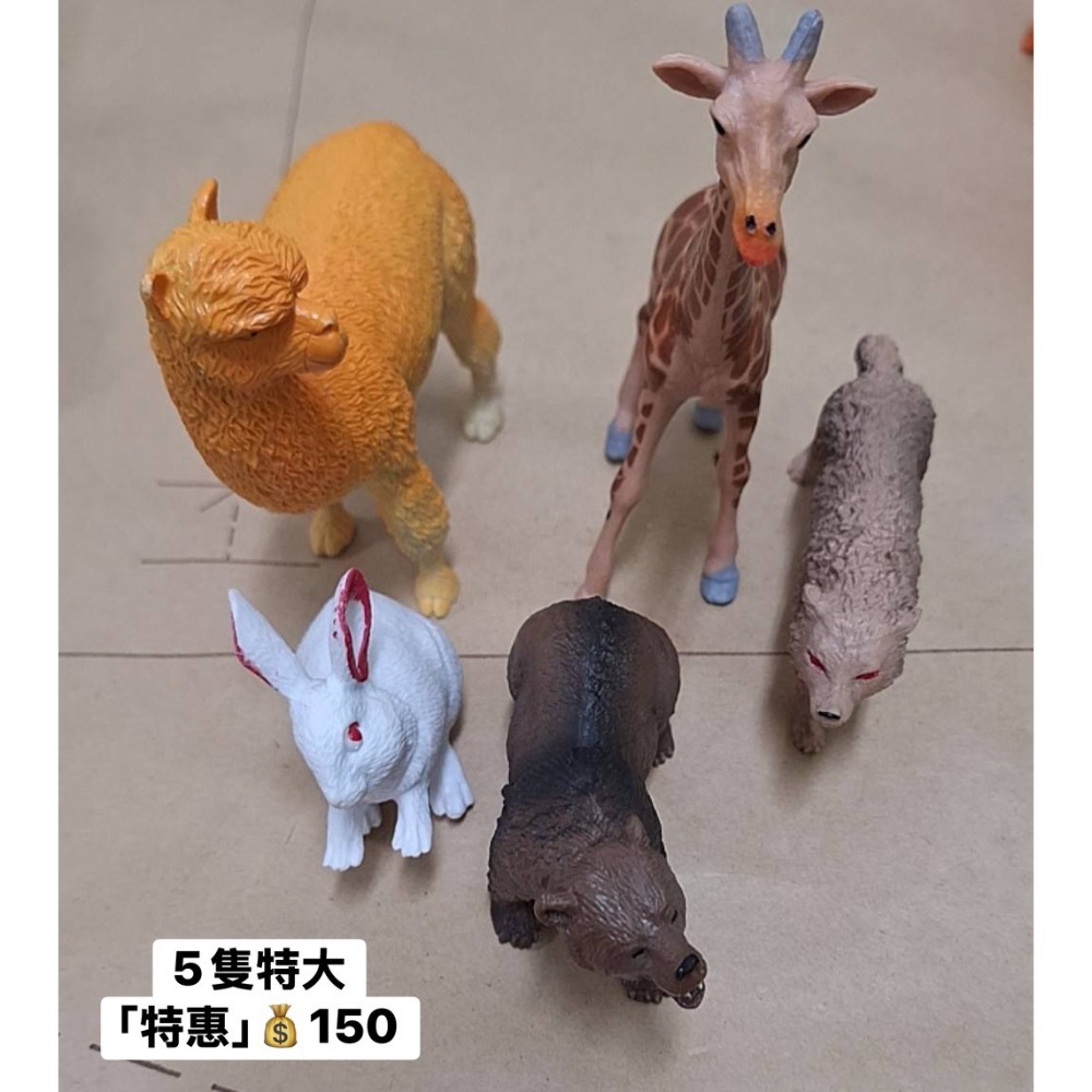 [INS小屋] ♡ 現貨 ♡ 出清區 ✪ 客訂 ✪-規格圖8