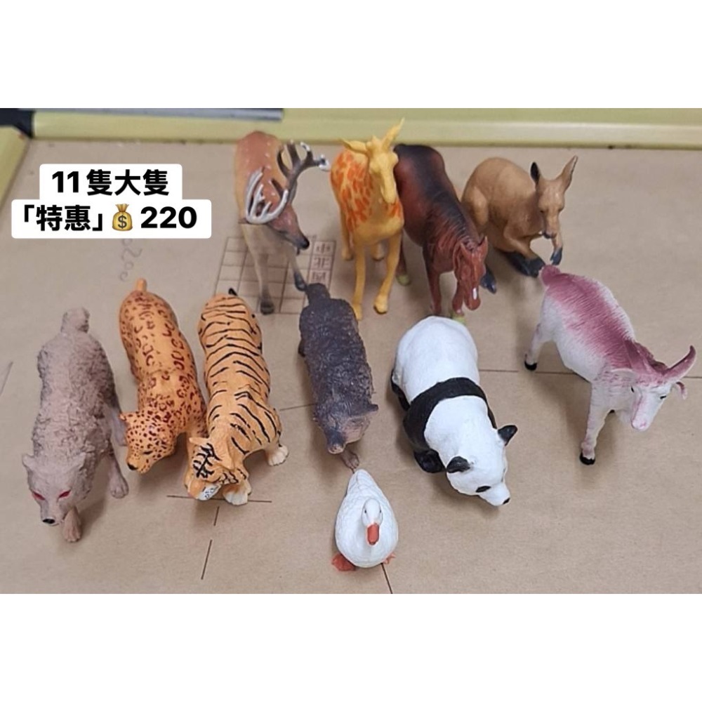 [INS小屋] ♡ 現貨 ♡ 出清區 ✪ 客訂 ✪-規格圖8