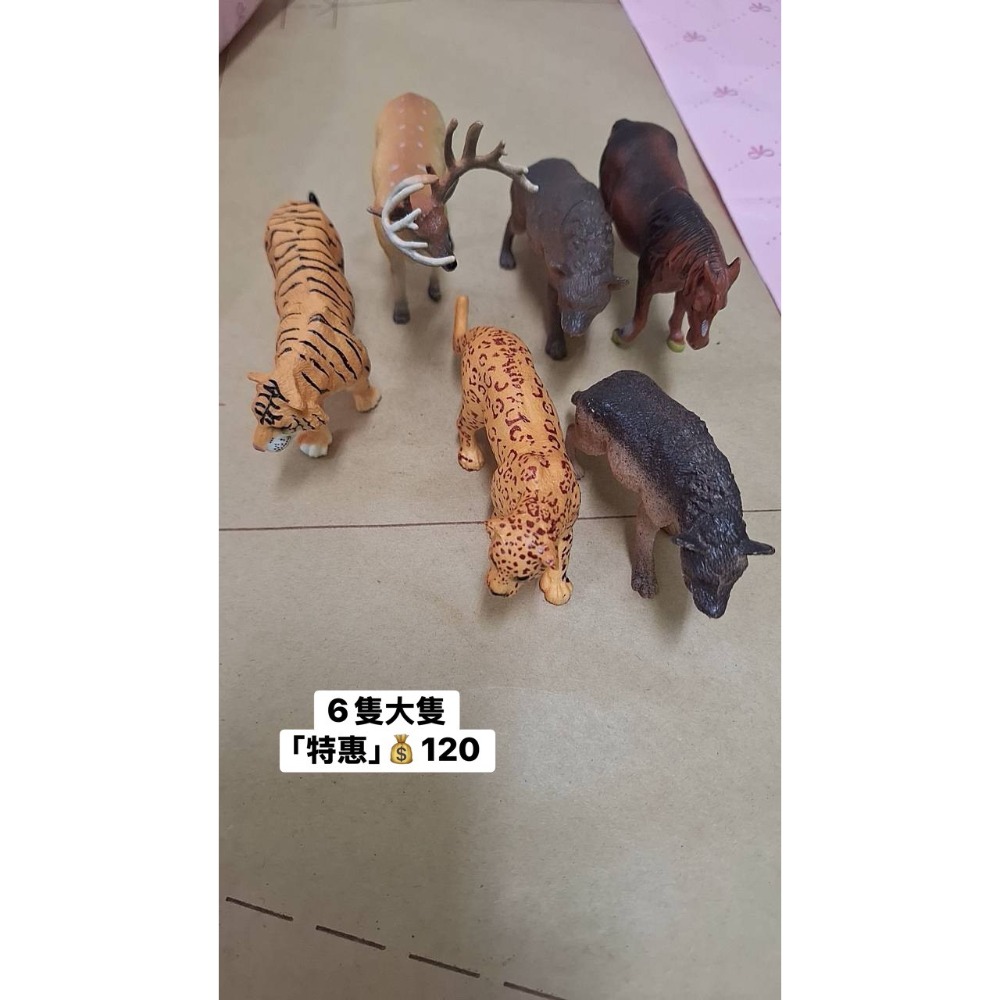 [INS小屋] ♡ 現貨 ♡ 出清區 ✪ 客訂 ✪-規格圖8