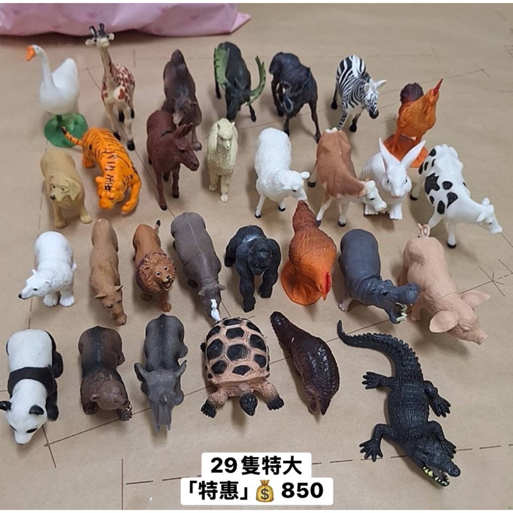 [INS小屋] ♡ 現貨 ♡ 出清區 ✪ 客訂 ✪-規格圖8