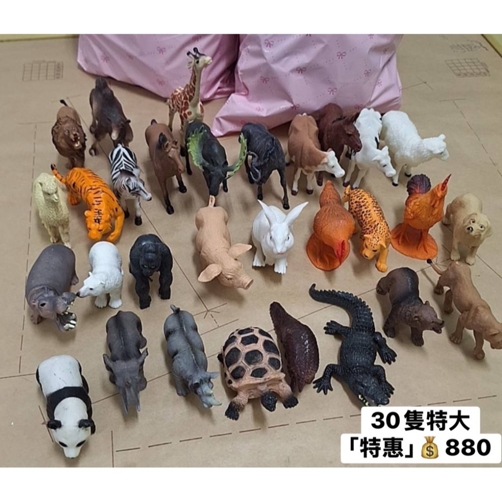 [INS小屋] ♡ 現貨 ♡ 出清區 ✪ 客訂 ✪-規格圖8