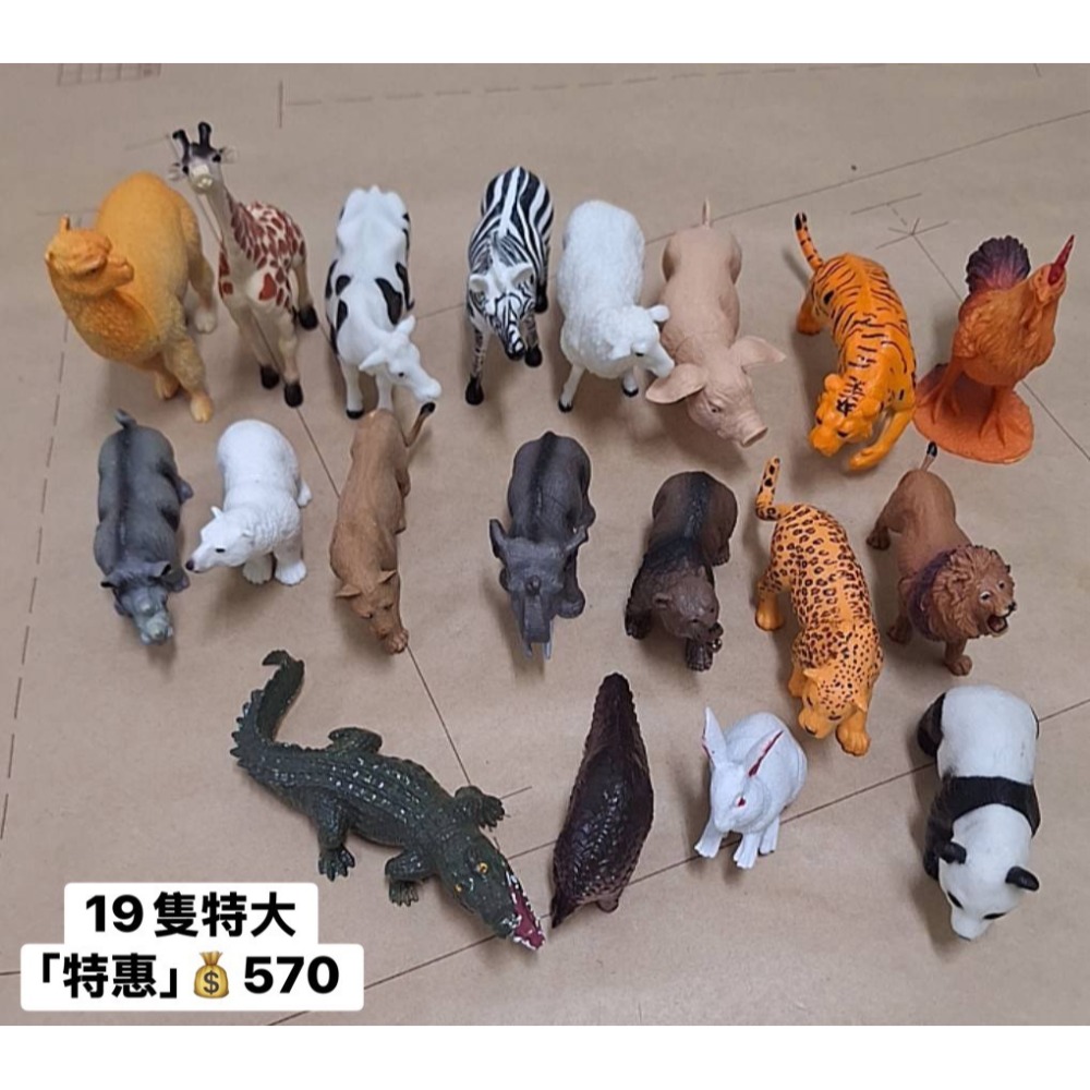 [INS小屋] ♡ 現貨 ♡ 出清區 ✪ 客訂 ✪-規格圖8