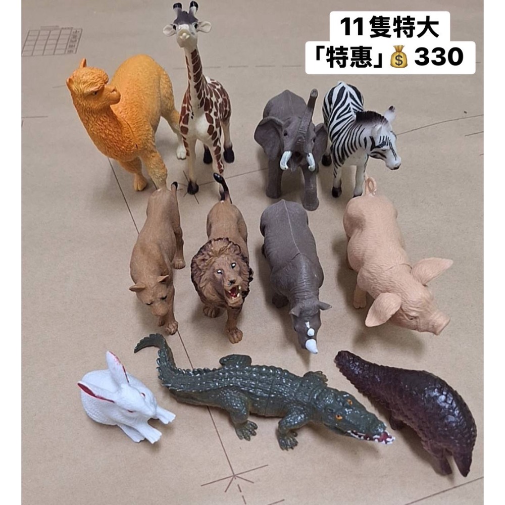 [INS小屋] ♡ 現貨 ♡ 出清區 ✪ 客訂 ✪-規格圖8