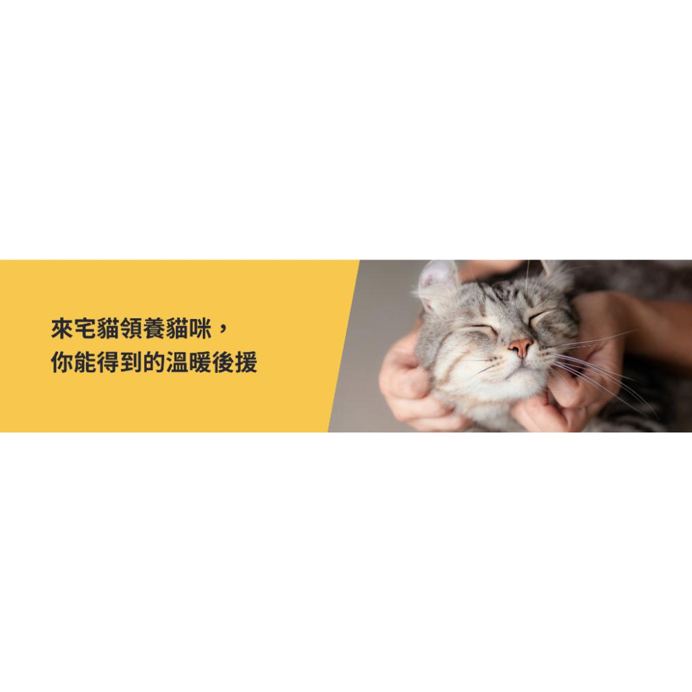 【喵暇村CatVillage 😊】湊滿額折價好方便-支援動保處「TAS浪愛滿屋」計畫-你出錢 我出罐罐與親訓-細節圖3