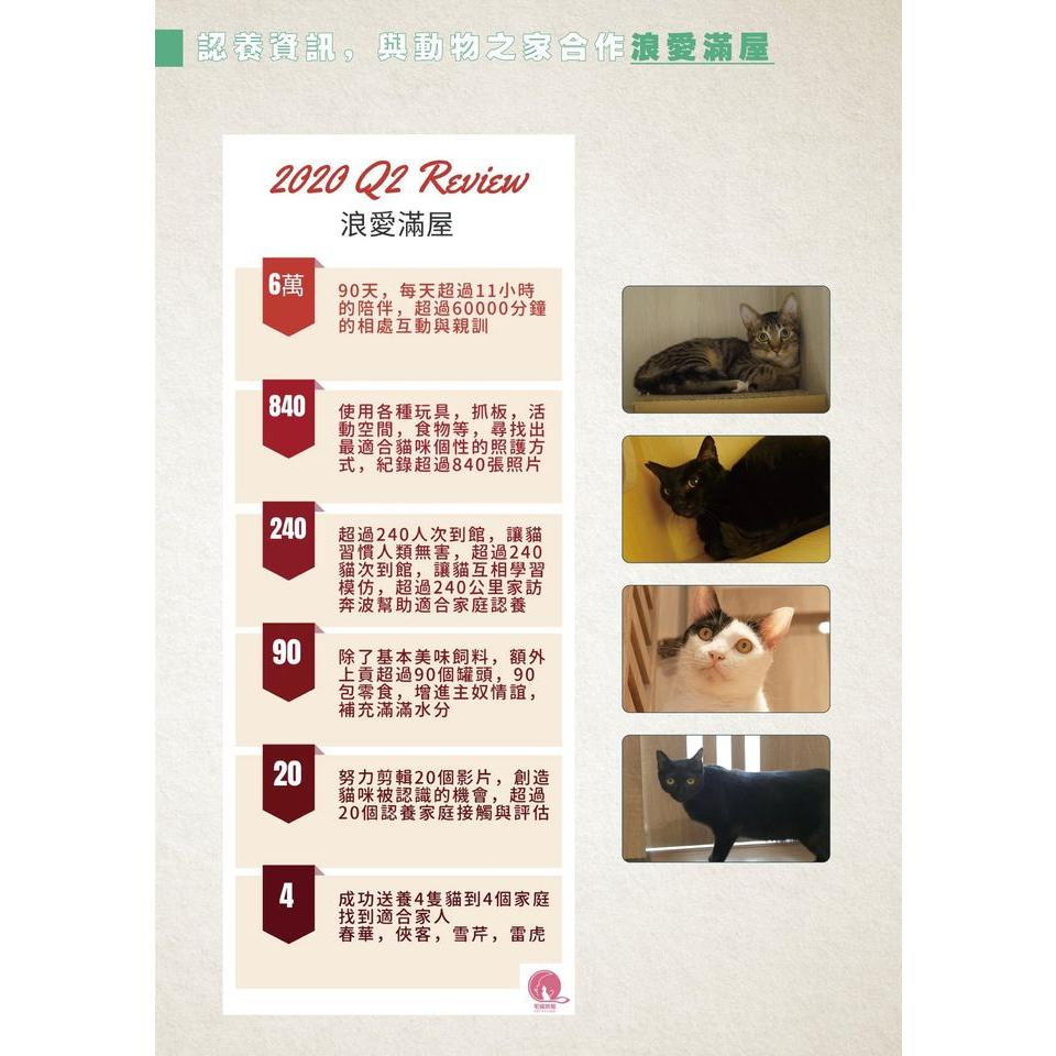 【喵暇村CatVillage 😊】湊滿額折價好方便-支援動保處「TAS浪愛滿屋」計畫-你出錢 我出罐罐與親訓-細節圖8