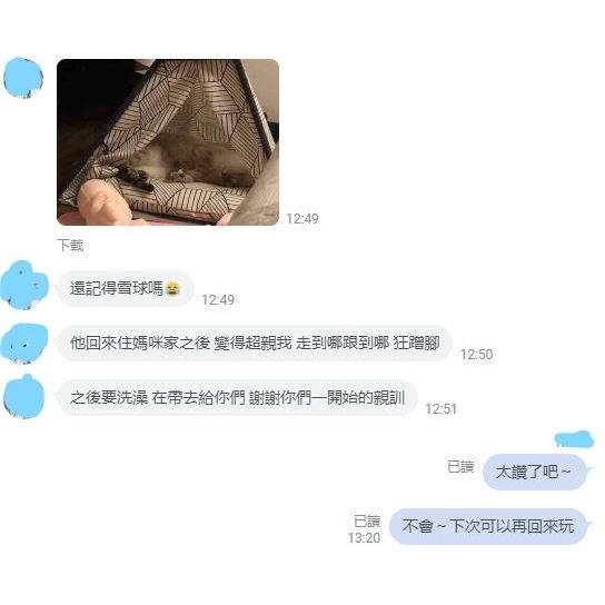 【喵暇村CatVillage 😊】湊滿額折價好方便-支援動保處「TAS浪愛滿屋」計畫-你出錢 我出罐罐與親訓-細節圖9