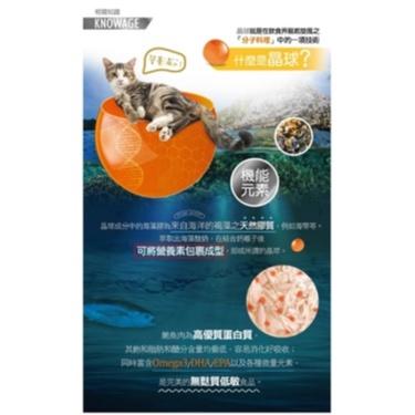 【喵暇村CatVillage😊】領券折價極速出貨!10倍蝦幣免運(9折)滿額送贈品★晶點機能養生罐80g-細節圖6