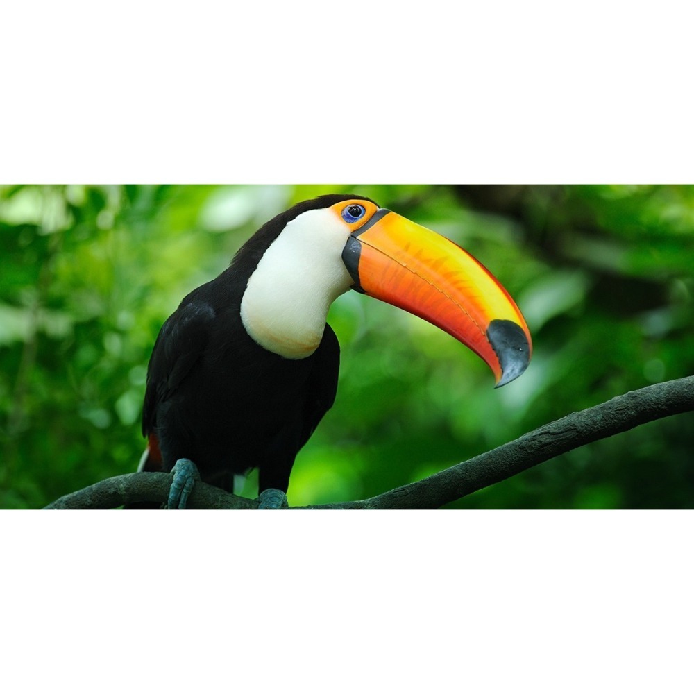 【限時購】綠世界門票 生態農場 綠世界【2張/組，4張/組】-細節圖2