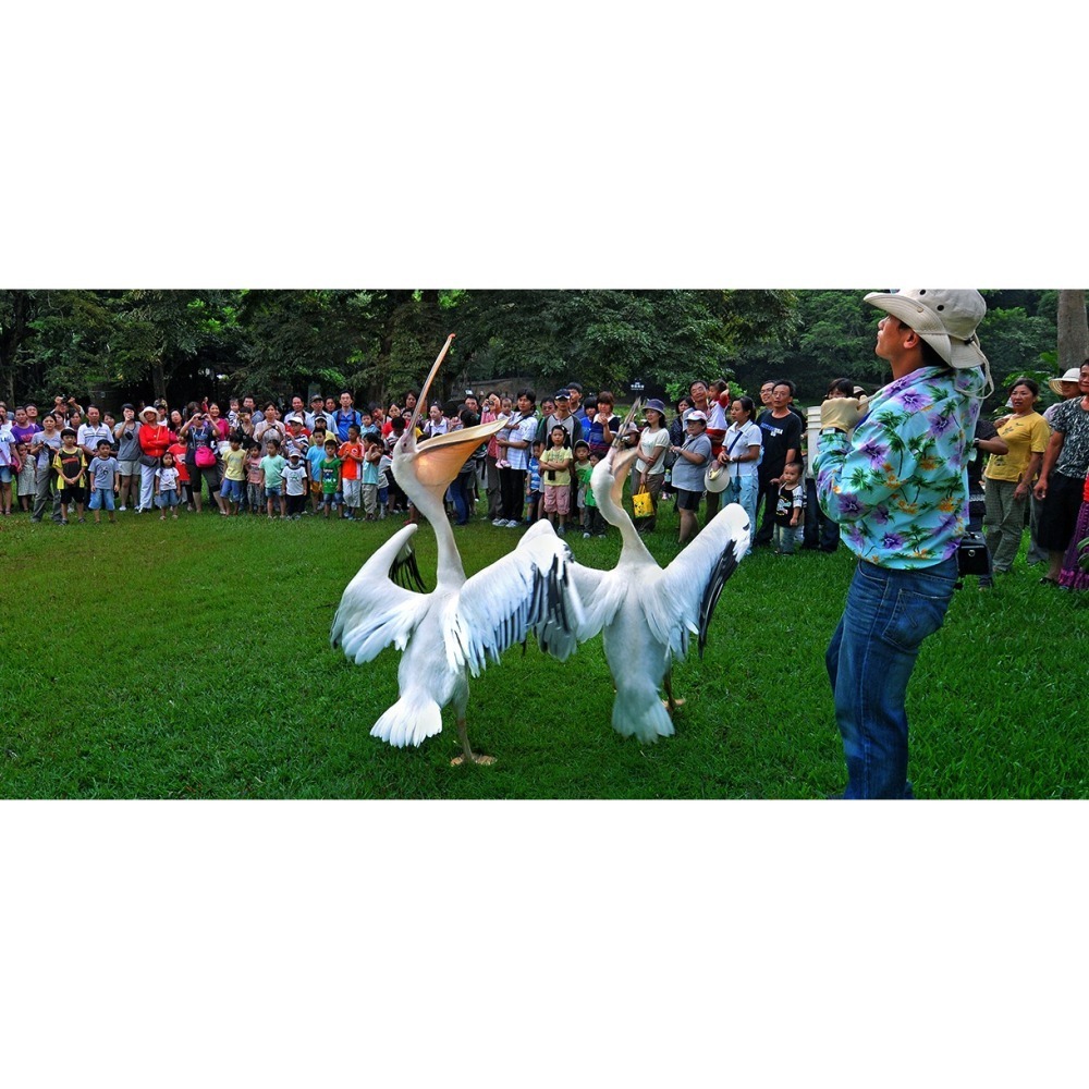 【限時購】綠世界門票 生態農場 綠世界【2張/組，4張/組】-細節圖5