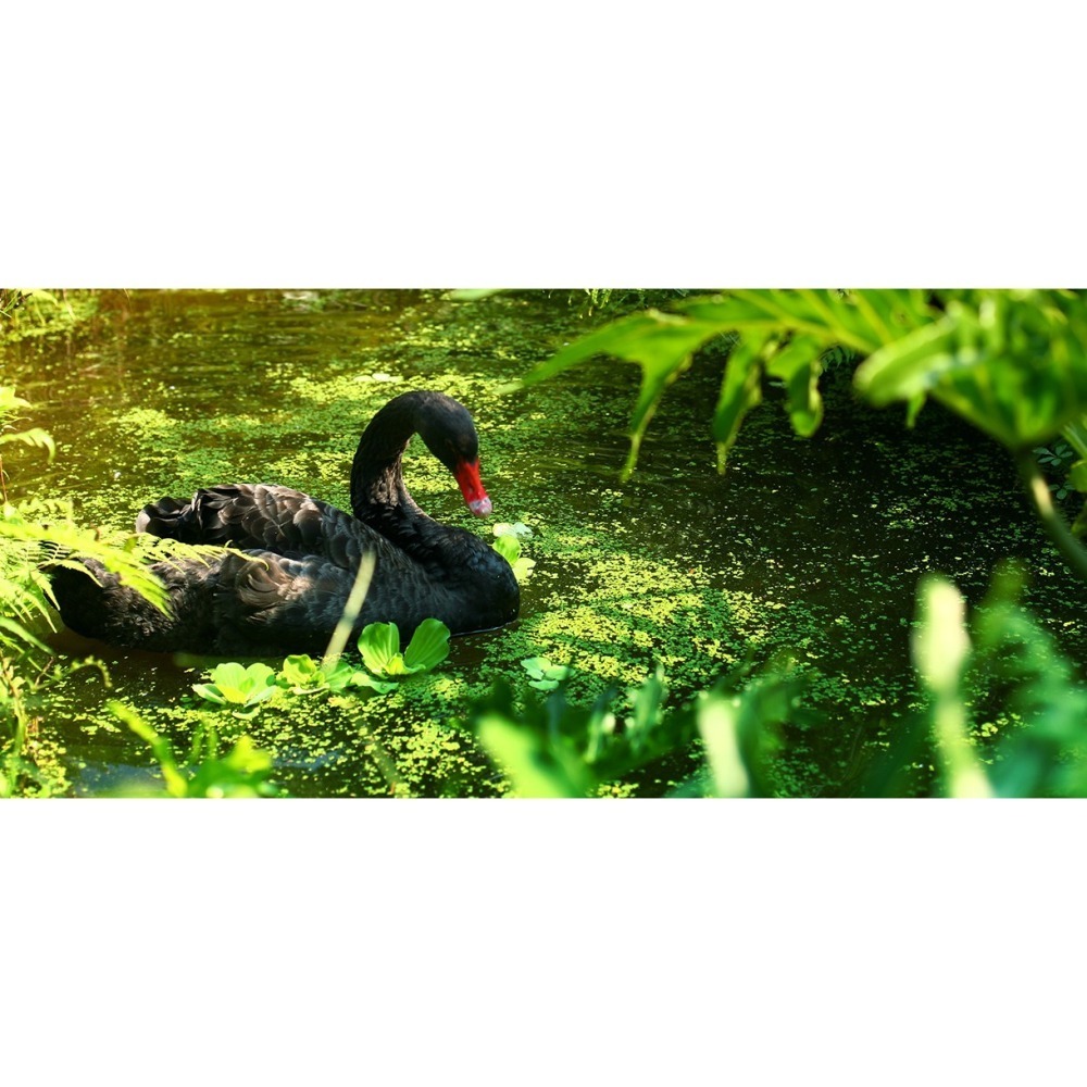 【限時購】綠世界門票 生態農場 綠世界【2張/組，4張/組】-細節圖6