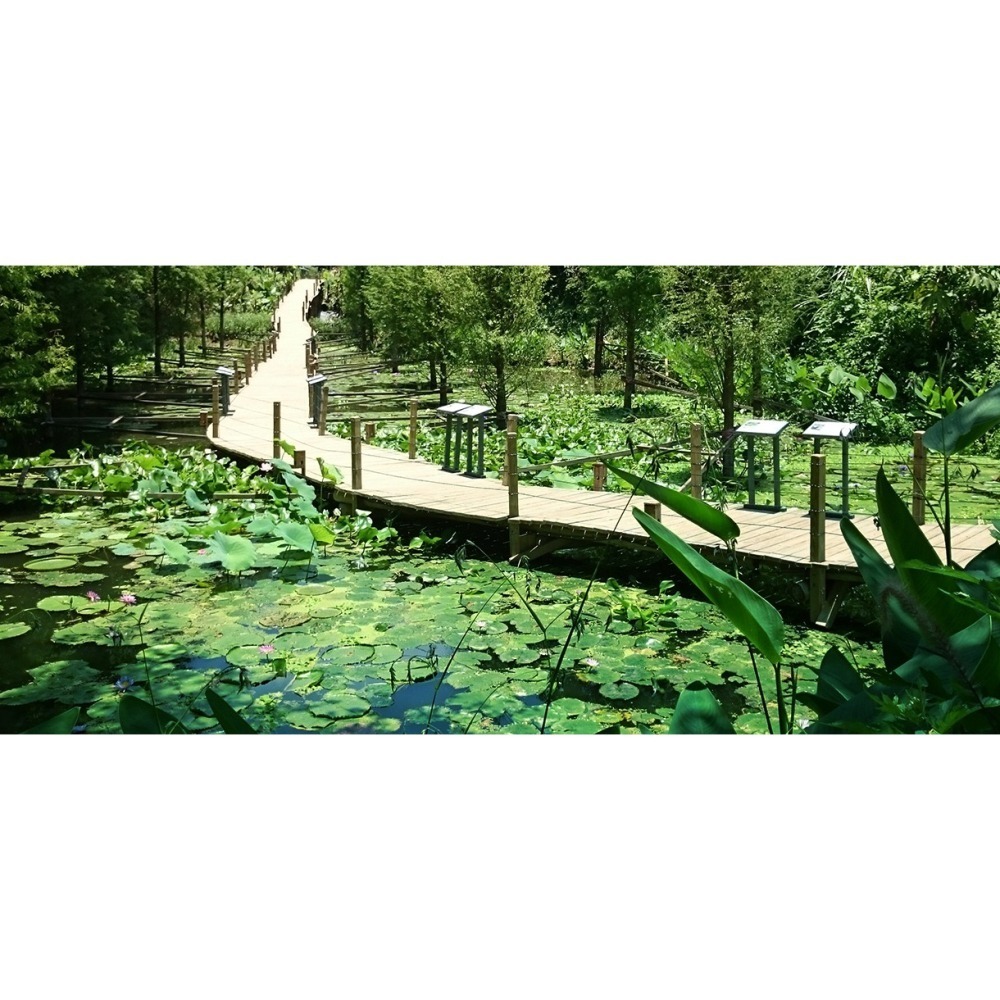 【限時購】綠世界門票 生態農場 綠世界【2張/組，4張/組】-細節圖8