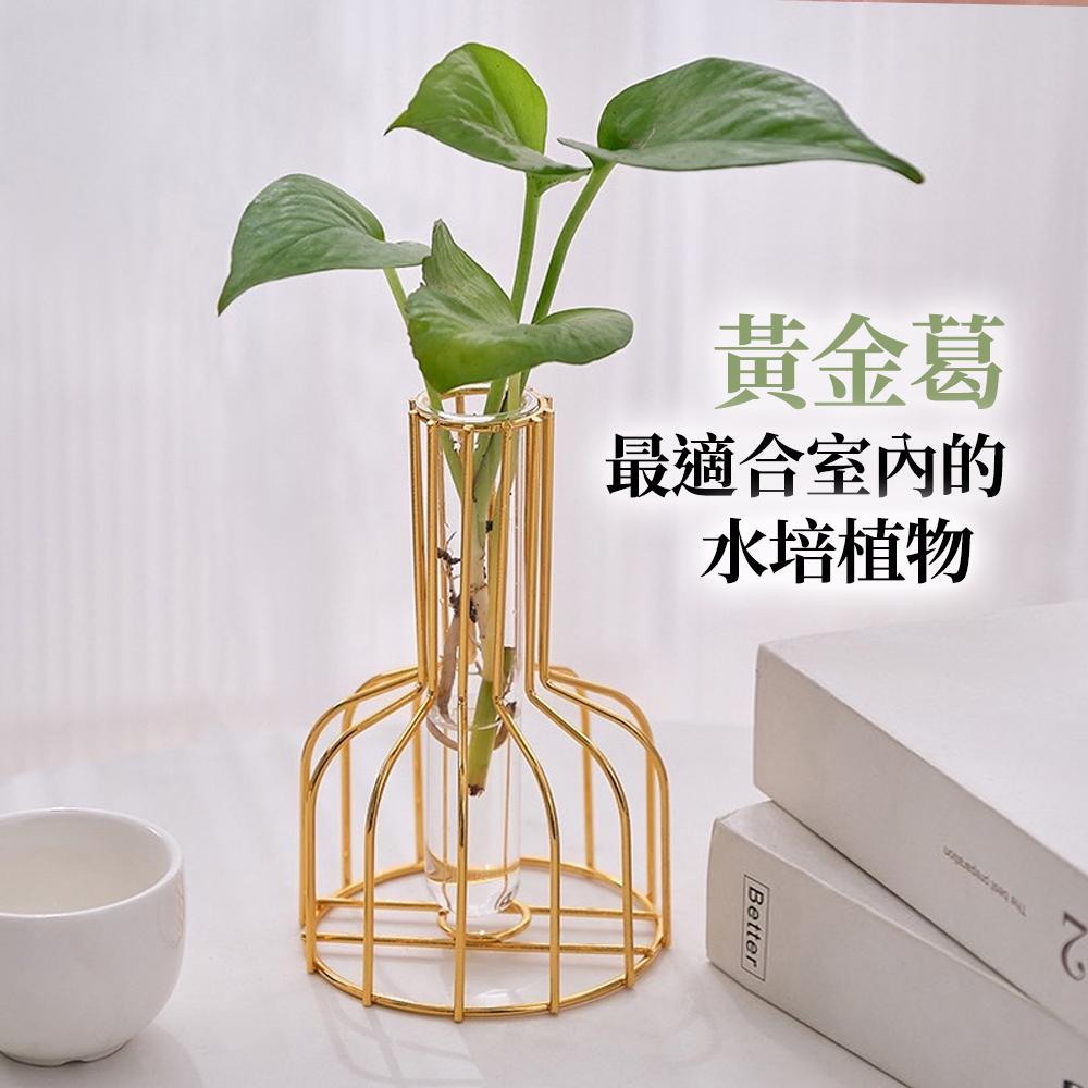 【新品X現貨】花器 花瓶 時尚金屬曲線花瓶 辦公室小物 室內植物 永生花 乾燥花 仿真植物-細節圖7