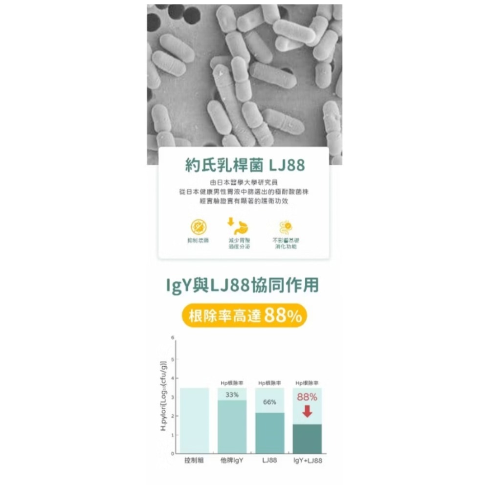 【拾物】淨旦生技 免運 護衛君SPF蛋黃益生菌-升級版 30入/盒 公司正品 LJ88活菌 高活性IgY蛋黃粉 日常保養-細節圖5