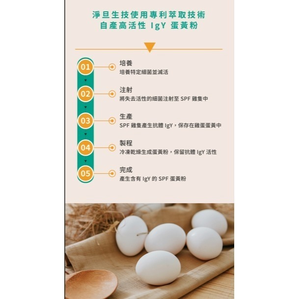 淨旦生技 免運 護衛君SPF蛋黃益生菌 30入/盒 生食蛋製 幽門桿菌 緩解症狀 高活性IgY 腸胃健康 保養身體 認證-細節圖5