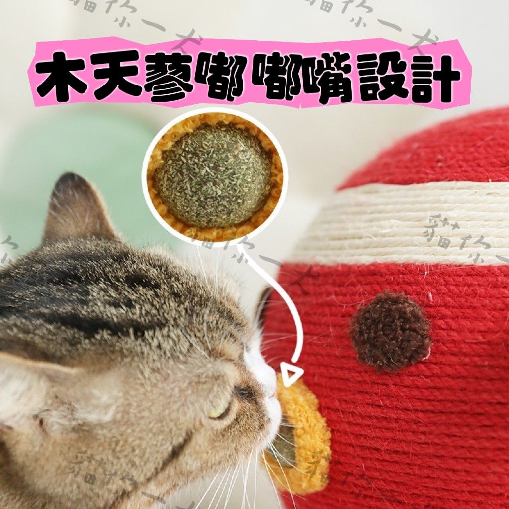 預購｜章魚燒造型貓抓柱-細節圖3