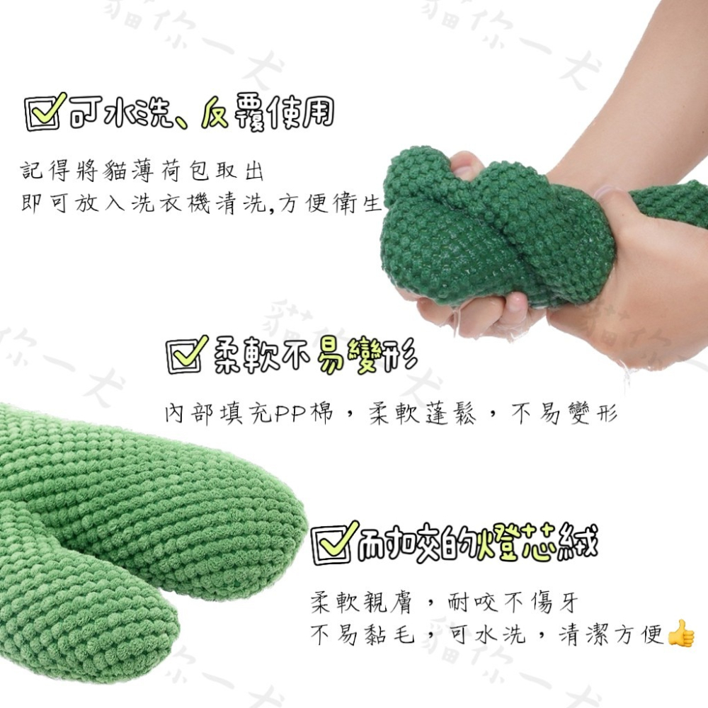 貓你一犬｜zeze 仙人掌貓薄荷抱枕 三色可選 貓玩具 趣味造型 貓抱枕 造型玩具 耐咬耐抓 內含貓薄荷 台灣現貨 快速-細節圖3