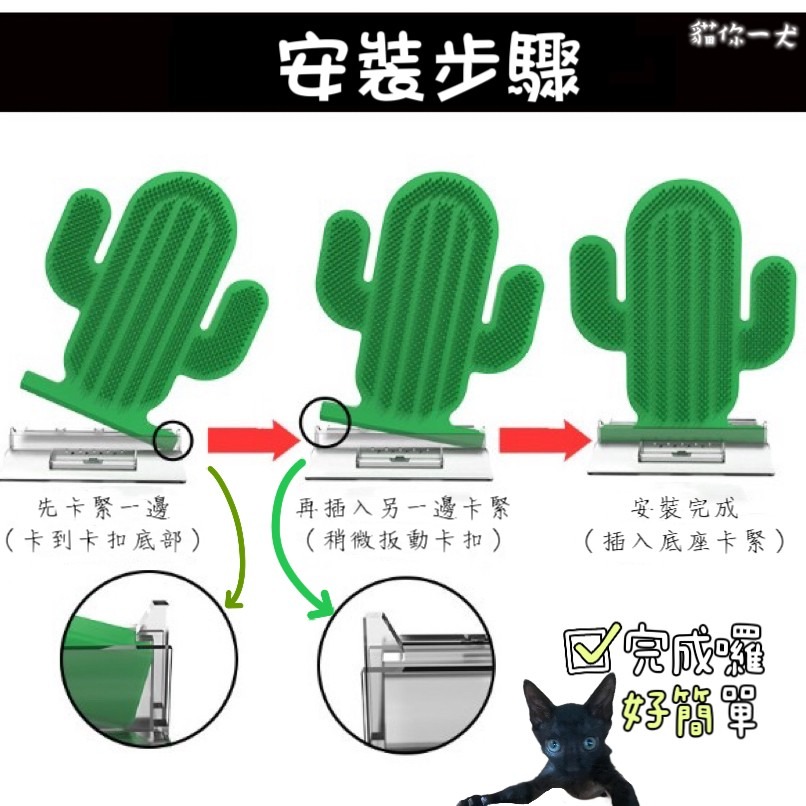 貓你一犬｜貓咪蹭毛器 仙人掌造型 撸貓玩具 抓癢神器 牆角蹭毛器 貓咪抓癢 蹭毛刷 牆角梳 寵物梳 寵物用品 現貨 快速-細節圖4