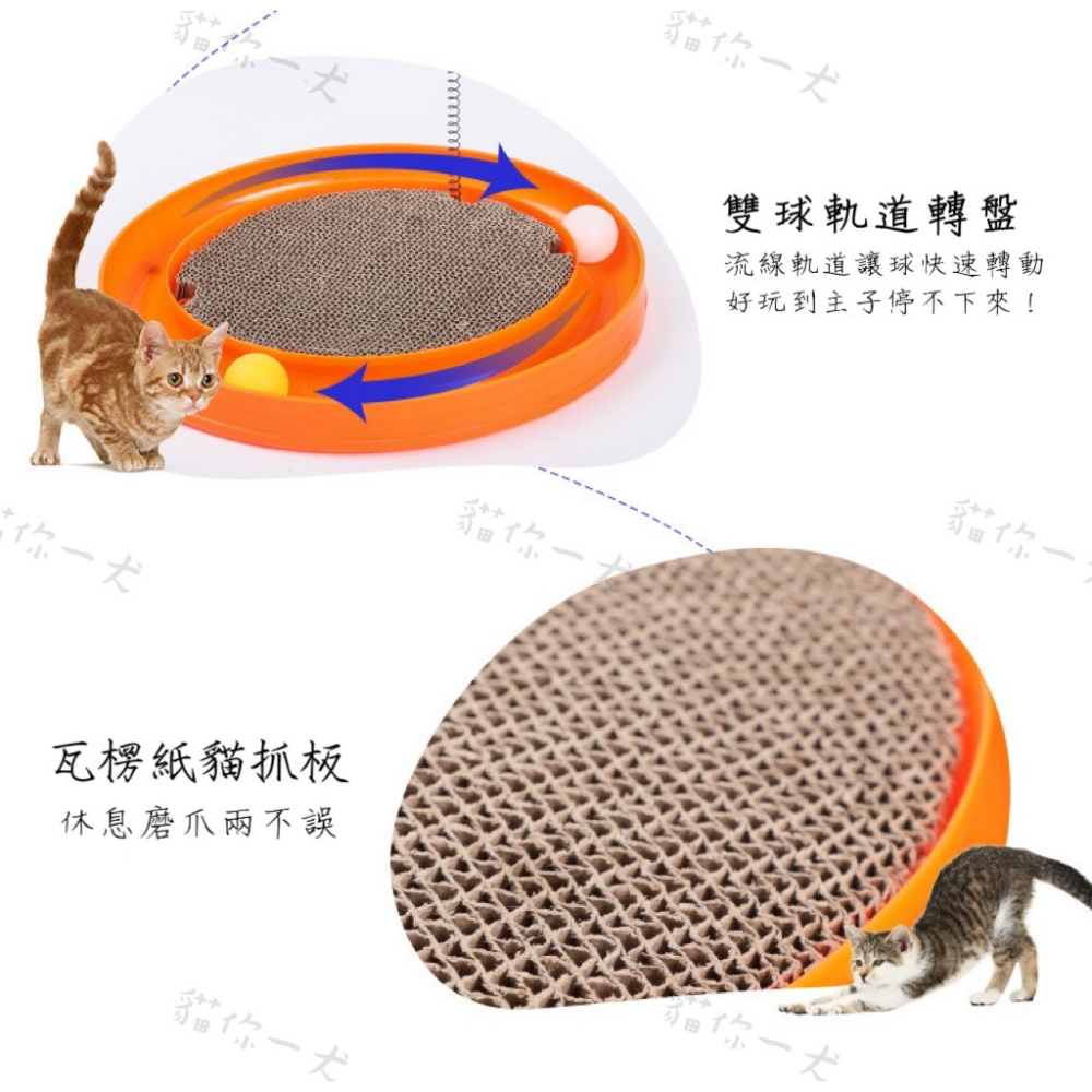 貓你一犬｜多功能貓玩具 貓咪蹭癢器 4合一貓軌道 逗貓玩具 逗貓棒 貓轉盤 貓抓板 逗貓 貓薄荷 台灣現貨 快速出貨-細節圖4