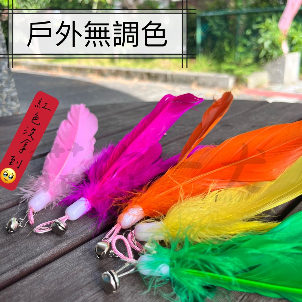 貓你一犬｜逗貓棒替換頭 羽毛 替換頭 逗貓棒 鈴鐺 繽紛 彩色 貓 逗貓用品 貓奴 主子 更換頭 快速出貨 台灣現貨-細節圖2