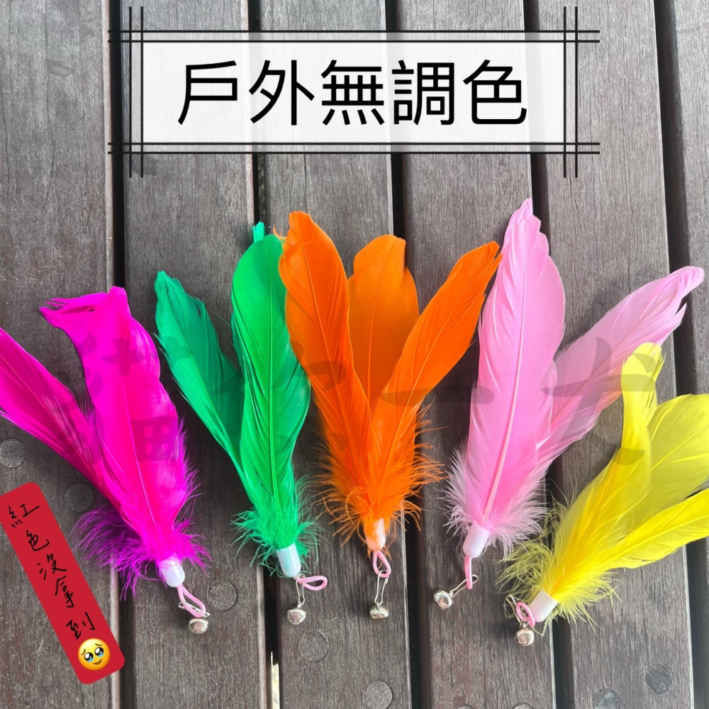 貓你一犬｜逗貓棒替換頭 羽毛 替換頭 逗貓棒 鈴鐺 繽紛 彩色 貓 逗貓用品 貓奴 主子 更換頭 快速出貨 台灣現貨-細節圖3