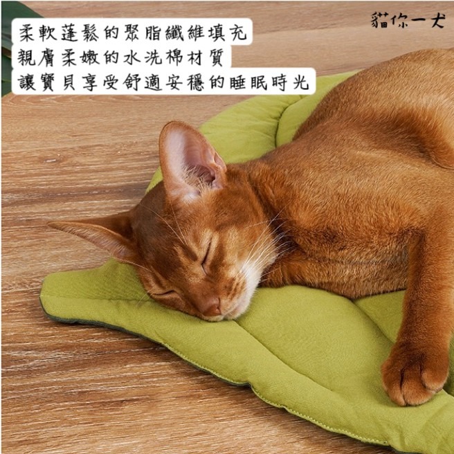 貓你一犬｜zeze 樹葉造型雙面寵物墊 台灣現貨 四季通用 貓睡墊 寵物睡墊 狗睡墊 葉子造型 雙面雙色 質感舒適 柔軟-細節圖3