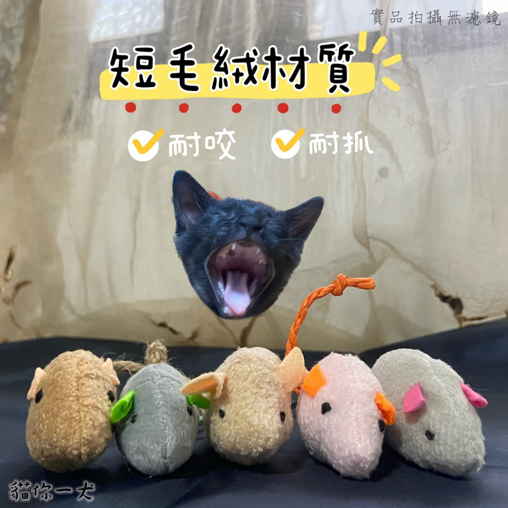 貓你一犬｜仿真造型小老鼠 貓咪玩具 貓玩具 寵物用品 仿真 小老鼠 逗貓玩具 貓咪用品 貓奴 造型玩具 台灣現貨 實拍-細節圖2