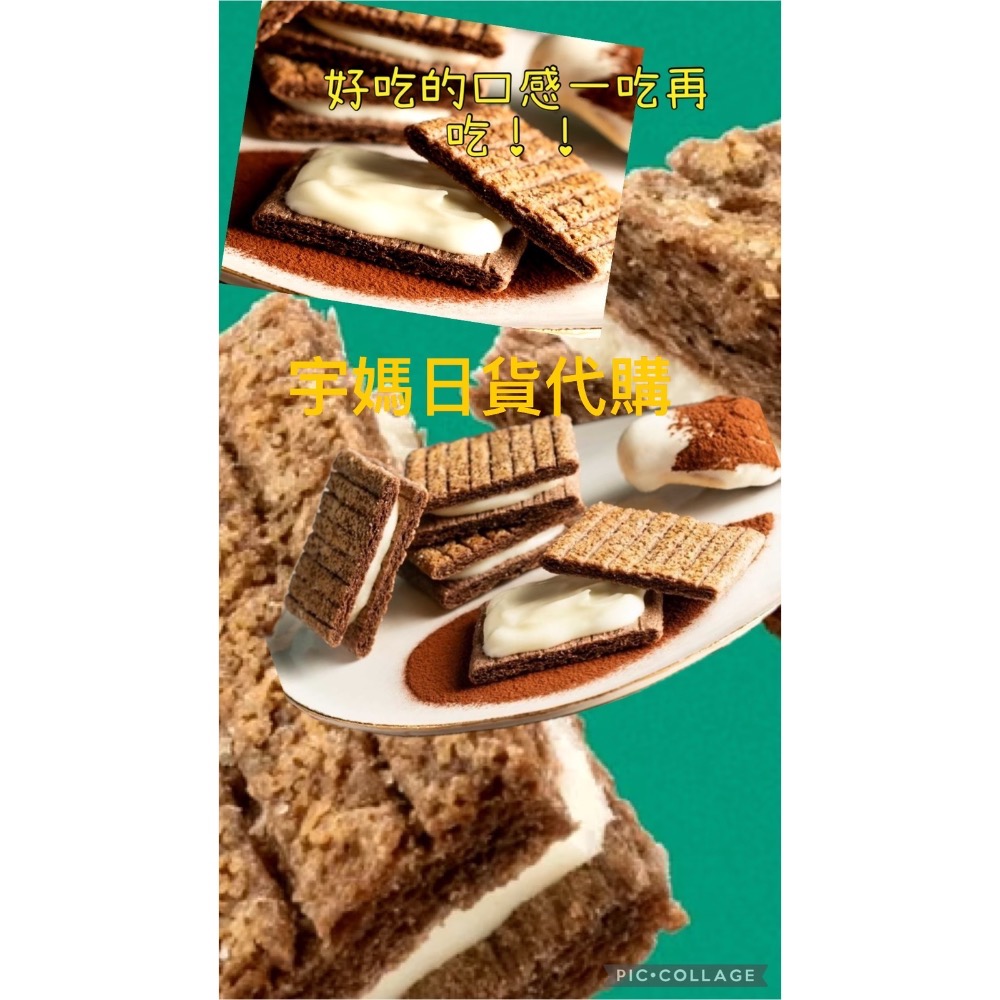 日本奶油樹提拉米蘇季節限定口味（預購）-細節圖2