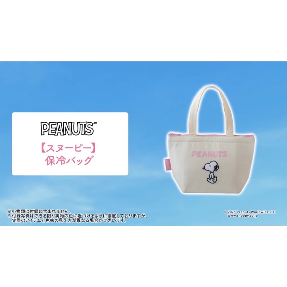 日本PEANUTS™ 史努比 刺繡保冷提袋（現貨）-細節圖2
