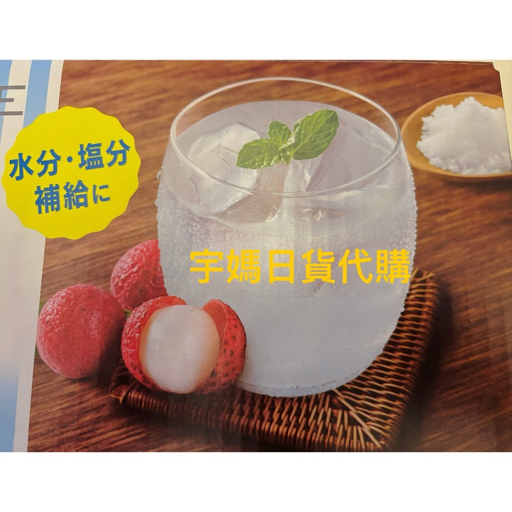 日本代購日東紅茶鹽荔枝果汁沖泡粉 解暑一包10入-細節圖3