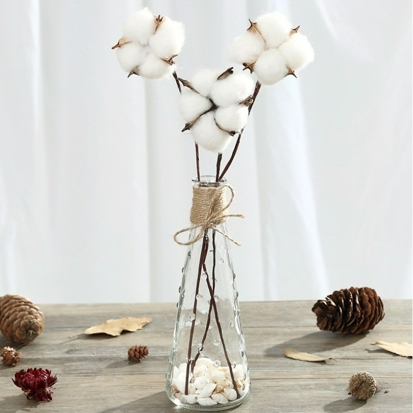 天然棉花松果蓮藕攝影拍攝擺件/乾燥花草蓮蓬/DIY裝飾擺件/ins花束真花拍照道具-細節圖2