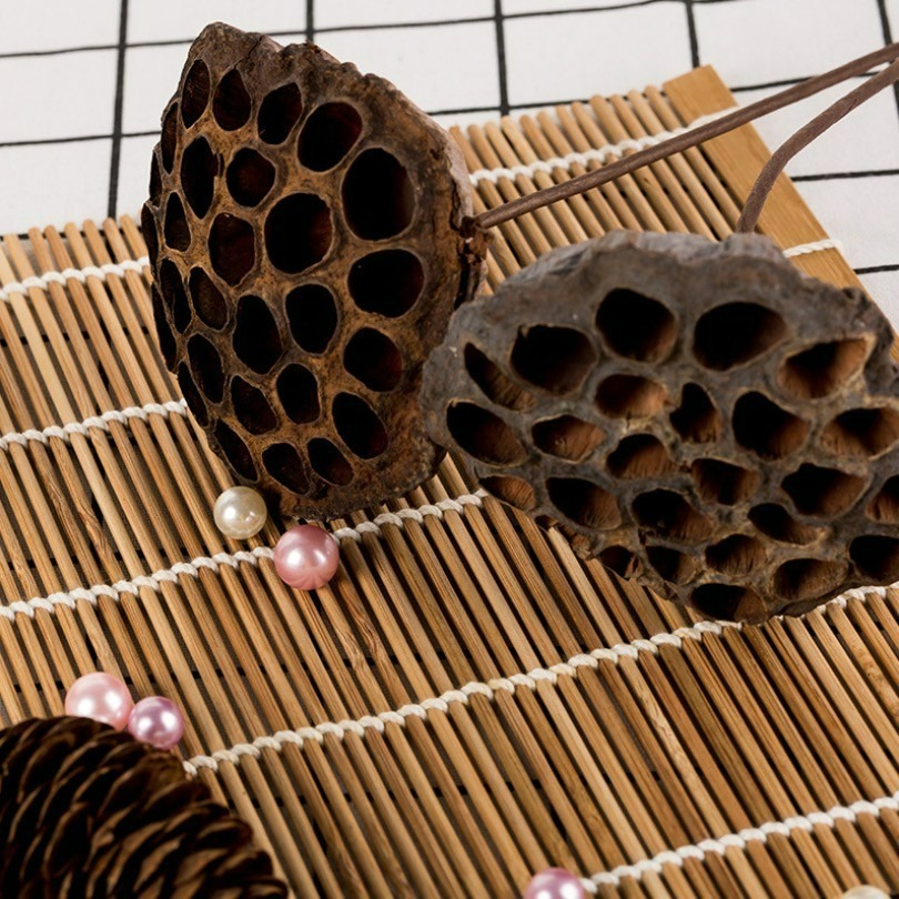 天然棉花松果蓮藕攝影拍攝擺件/乾燥花草蓮蓬/DIY裝飾擺件/ins花束真花拍照道具-細節圖3