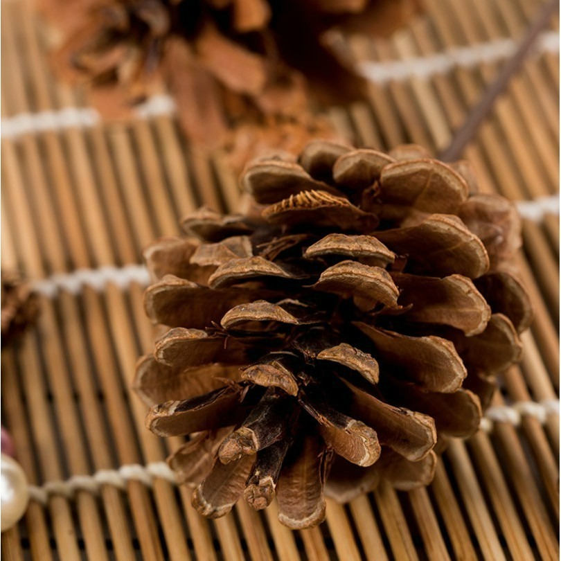 天然棉花松果蓮藕攝影拍攝擺件/乾燥花草蓮蓬/DIY裝飾擺件/ins花束真花拍照道具-細節圖6