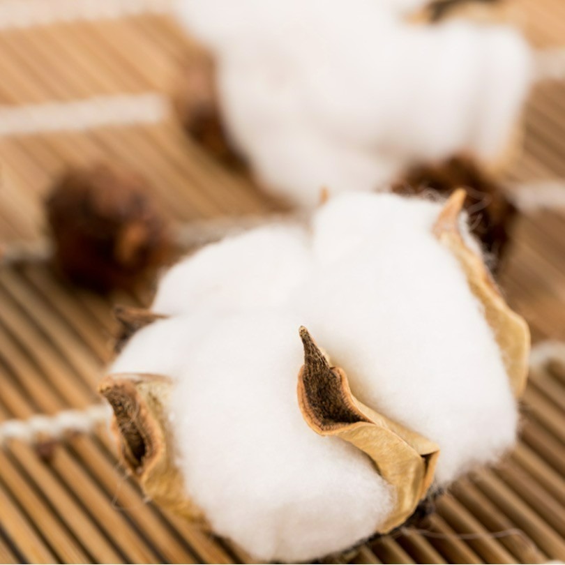 天然棉花松果蓮藕攝影拍攝擺件/乾燥花草蓮蓬/DIY裝飾擺件/ins花束真花拍照道具-細節圖7