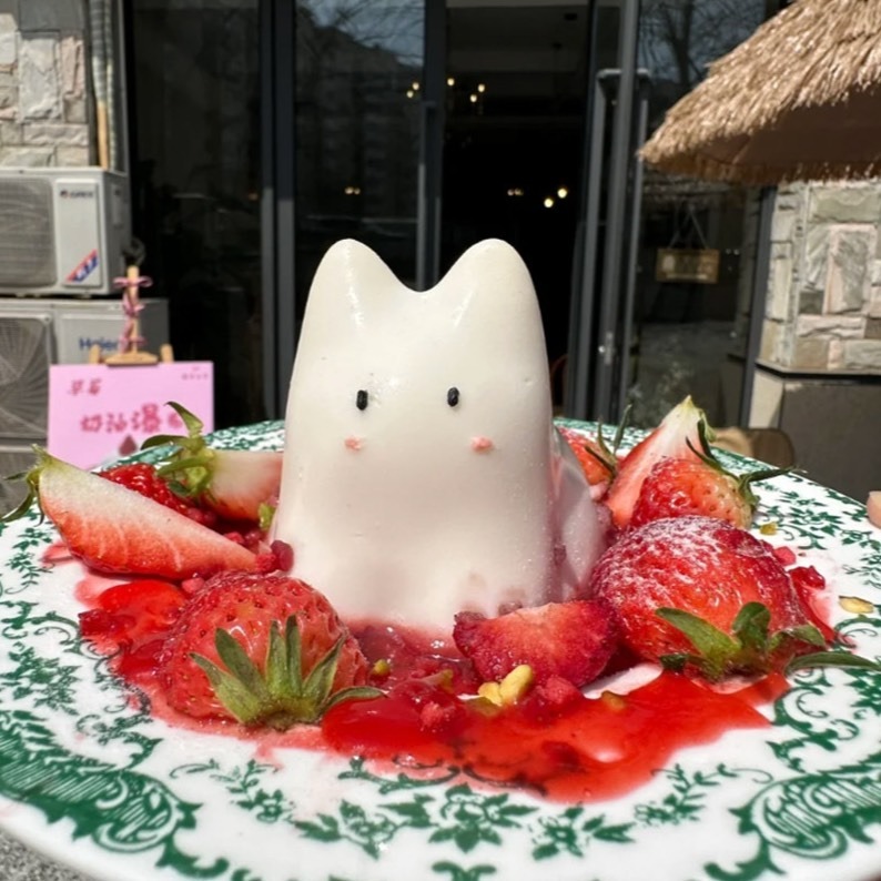 立體搖搖貓咪奶凍模具(模具顏色隨機)/兔子果凍矽膠模具/可愛卡通捏捏布丁DIY慕斯蛋糕模-細節圖2