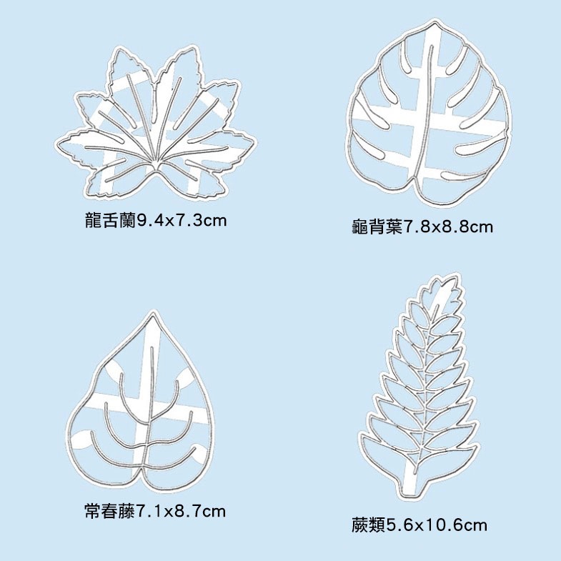 ▪4件組▪亞馬遜熱銷龍舌蘭龜背葉塑料餅乾模具/白色植物餅乾模具/饅頭飯糰模具/3D列印按壓式曲奇餅乾模-細節圖7