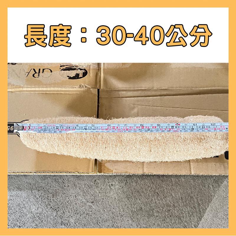 【鹿港產🇹🇼】 純天然絲瓜布 買6送1  天然絲瓜絡 整條絲瓜絡 無漂白絲瓜絡 絲瓜絡 絲瓜布  菜瓜布 菜瓜 乾絲瓜絡-細節圖5