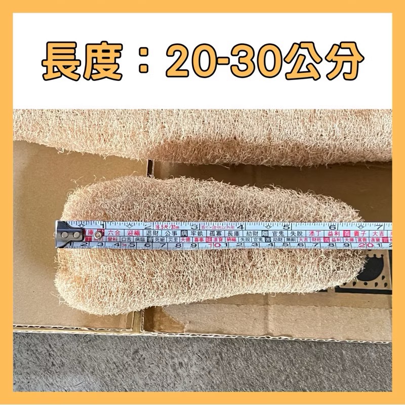 【鹿港產/雲林產/無漂白】 絲瓜布 非大陸貨 天然絲瓜布 絲瓜絡 無漂白絲瓜絡 絲瓜絡 絲瓜布-細節圖4
