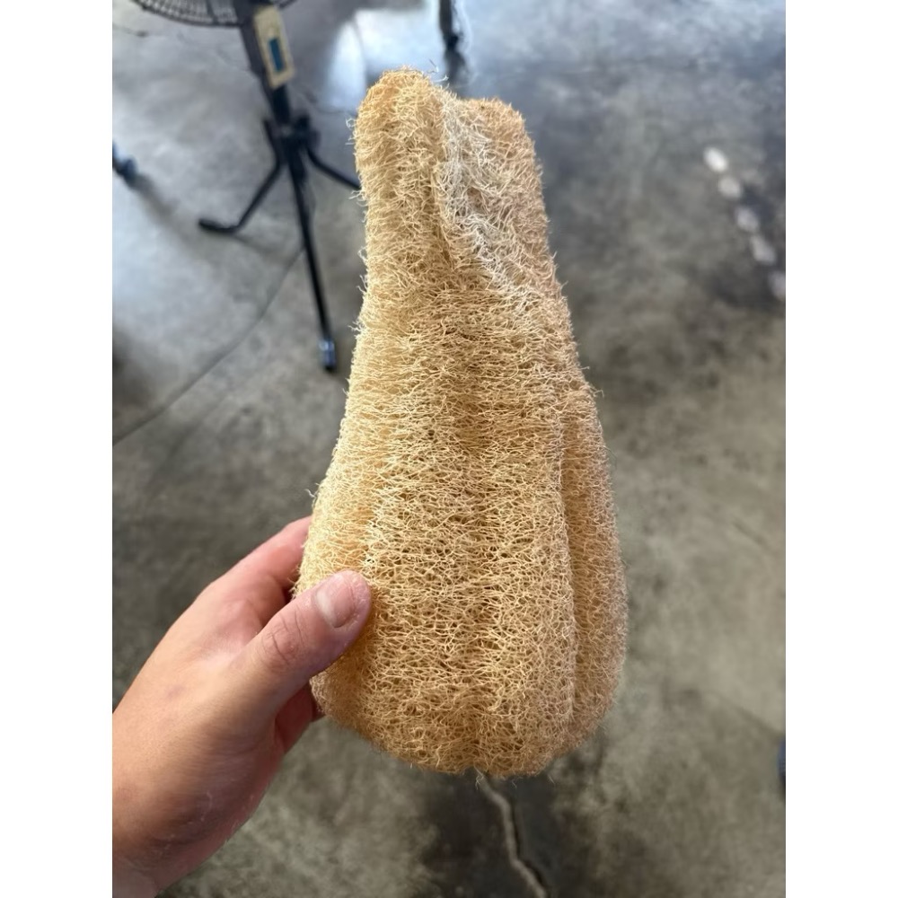 【鹿港產/雲林產/無漂白】 絲瓜布 非大陸貨 天然絲瓜布 絲瓜絡 無漂白絲瓜絡 絲瓜絡 絲瓜布-規格圖5