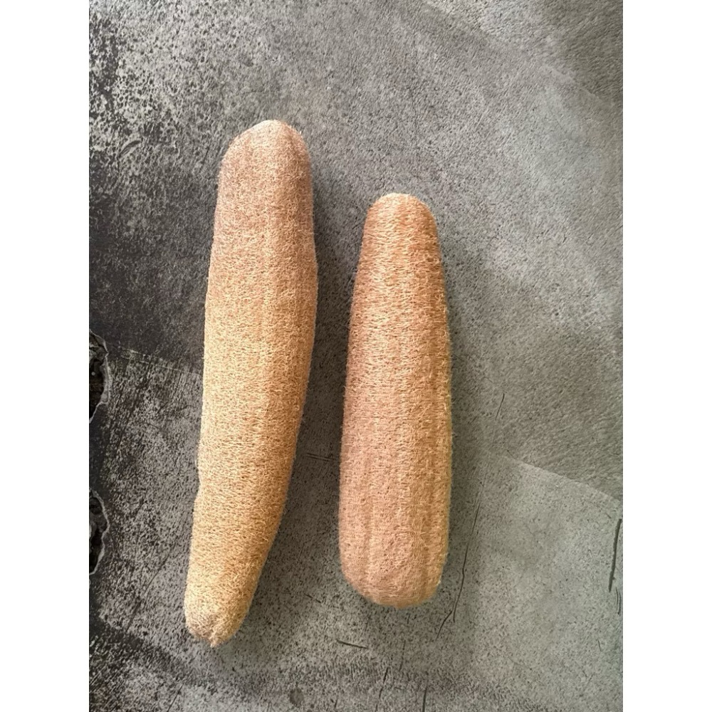 【鹿港產/雲林產/無漂白】 絲瓜布 非大陸貨 天然絲瓜布 絲瓜絡 無漂白絲瓜絡 絲瓜絡 絲瓜布-規格圖5