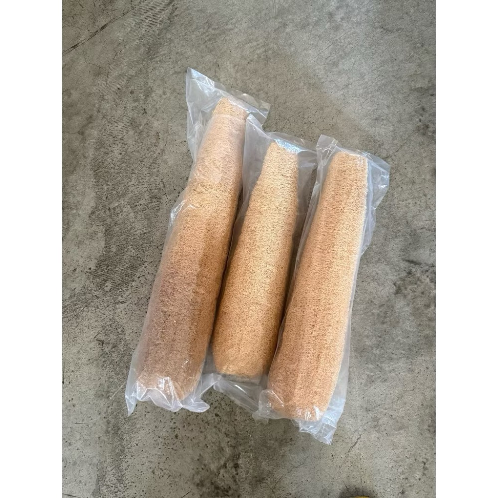 【鹿港產/雲林產/無漂白】 絲瓜布 非大陸貨 天然絲瓜布 絲瓜絡 無漂白絲瓜絡 絲瓜絡 絲瓜布-規格圖5