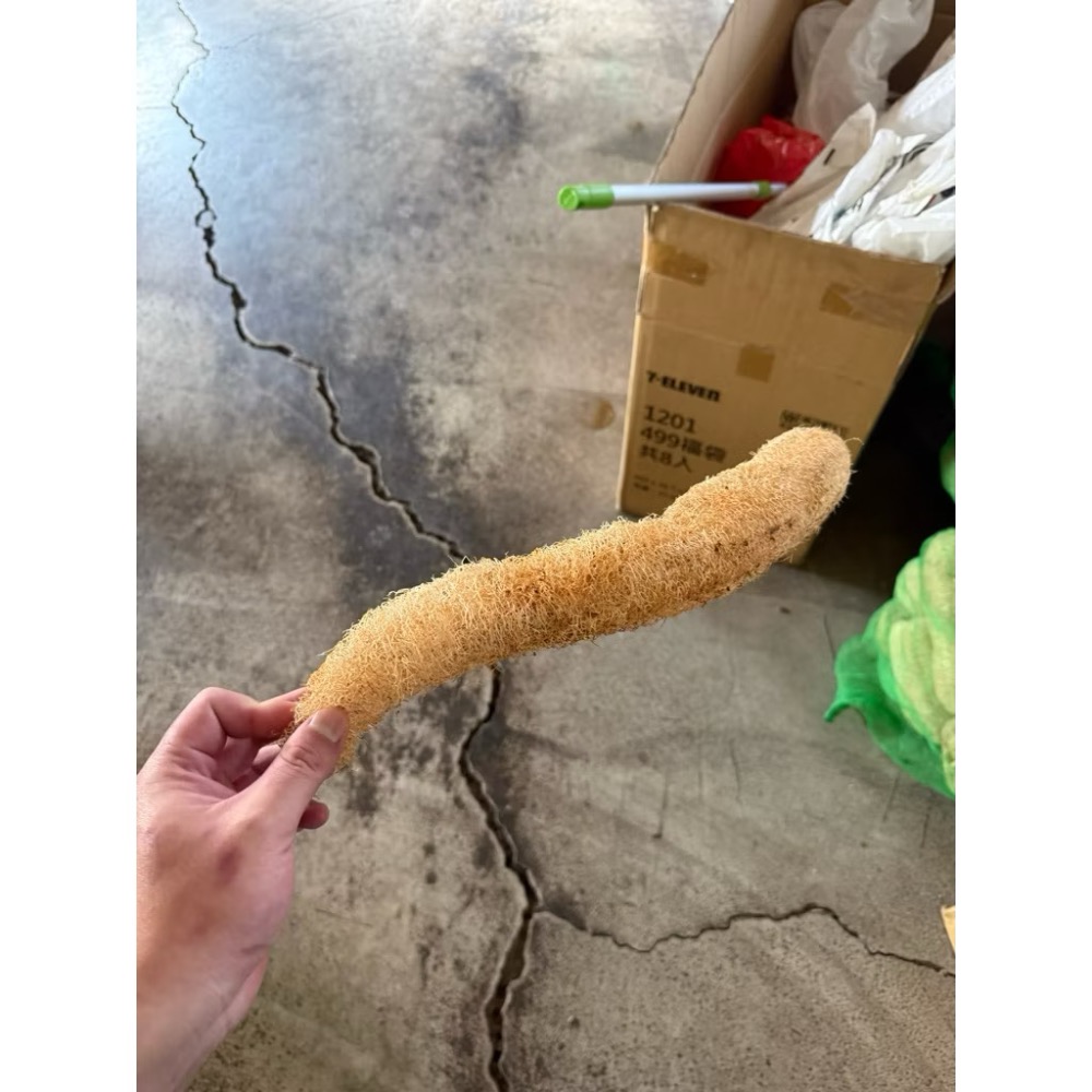 【瑕疵品】10-30公分