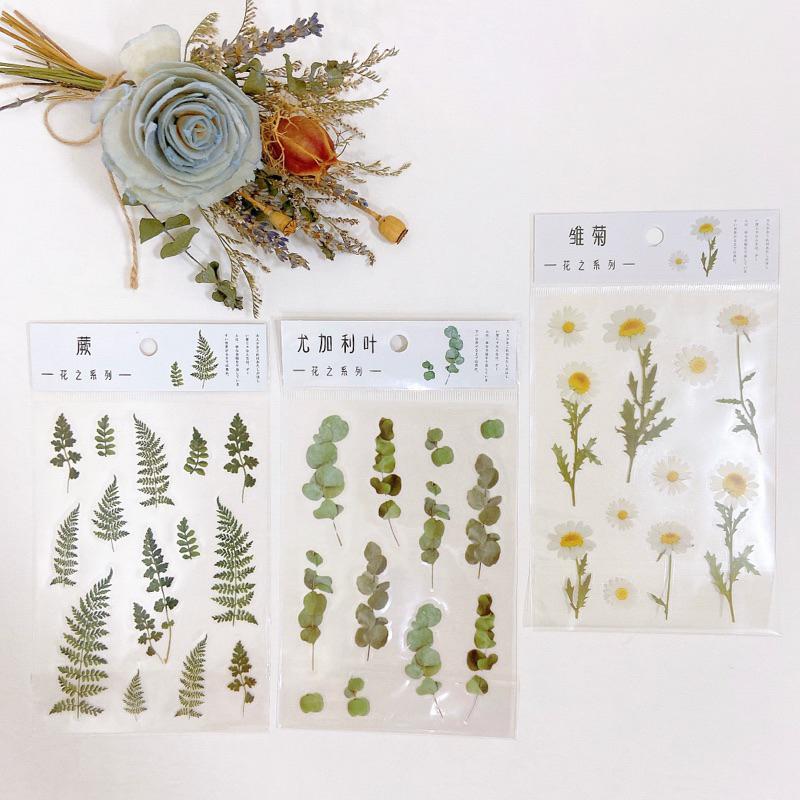 現貨｜ 植物手帳貼紙 小清新植物素材 PET防水貼紙 裝飾貼紙 紙先生 尤加利葉 滿天星 雛菊 蕨 幸運草 鳶尾-細節圖2