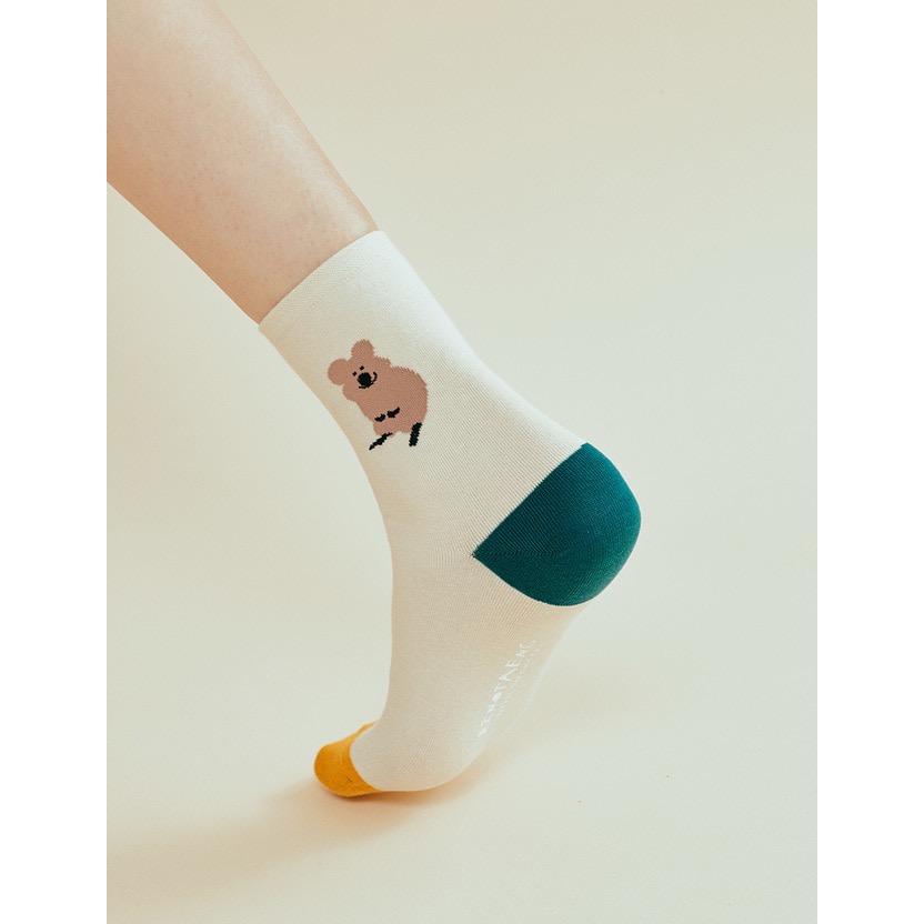 𝗣𝗲𝗻𝗻𝘆 𝗦𝘁𝘂𝗱𝗶𝗼韓國文創🇰🇷Quokka撞色襪子(9款)✔預購 ✈ 韓國襪子 中筒襪-細節圖2